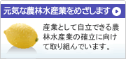 元気な農林水産業をめざします