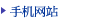 手机网站
