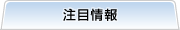 注目情報