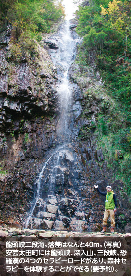 龍頭峡二段滝。落差はなんと40m。（写真）安芸太田町には龍頭峡、深入山、三段峡、恐羅漢の4つのセラピーロードがあり、森林セラピーを体験することができる（要予約）。