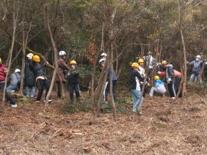 企業，ボランティア団体，地域住民協働による里山保全活動の画像