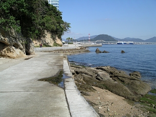 海岸（東向きに撮影）の写真
