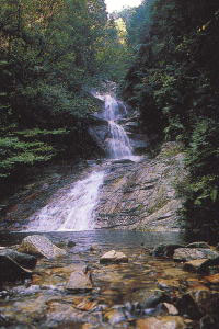 南原峡県立自然公園　加賀津の滝