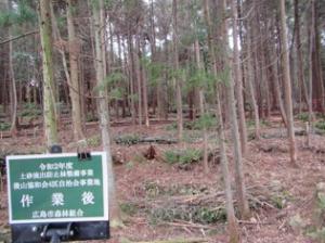 自治会による地域防災のための森林整備　整備後