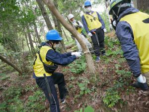 参加者による森林整備