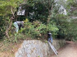 江田島市　砲台跡地周辺の森林を整備している様子