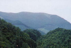 猫山全景の写真