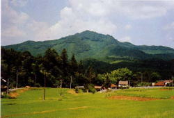 女亀山全景の写真