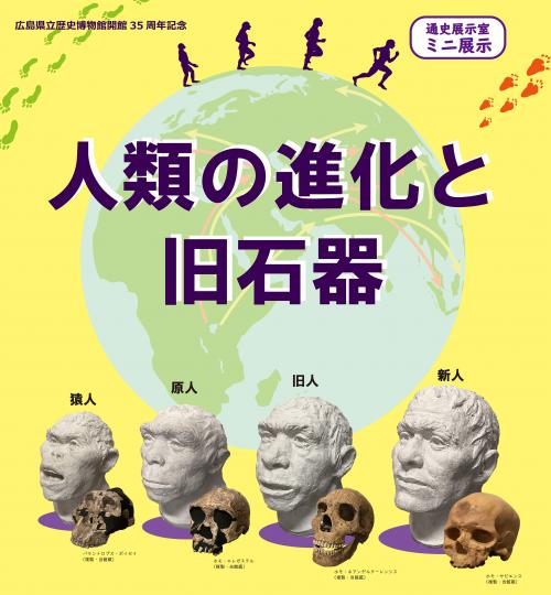 ミニ展示「人類の進化と旧石器」ポスター（トリミング）