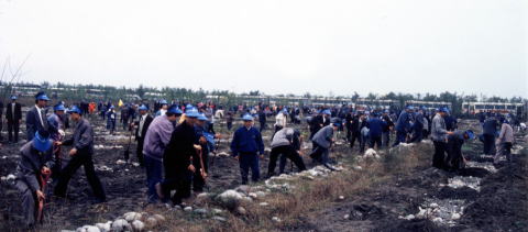 1994年植樹活動の様子