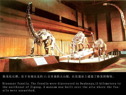 自貢恐竜博物館