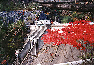 ダム下流面（秋）の写真
