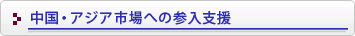 中国・アジア市場への参入支援