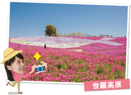 世羅高原