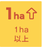 1ha以上