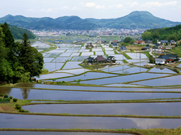 世羅町