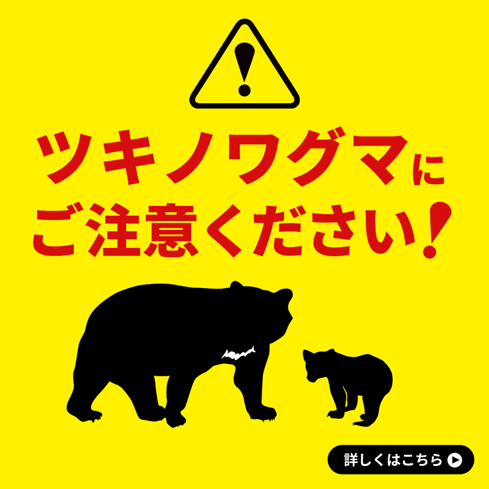 クマに注意