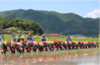 壬生の花田植 画像