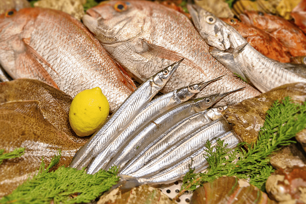 魚介類の写真