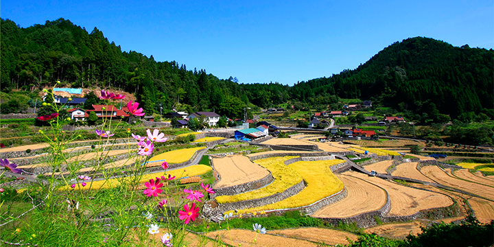 中山間地域振興