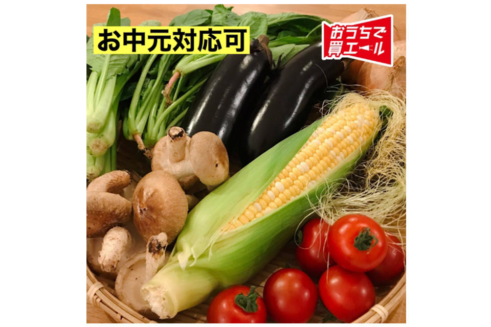 産直野菜詰め合わせ