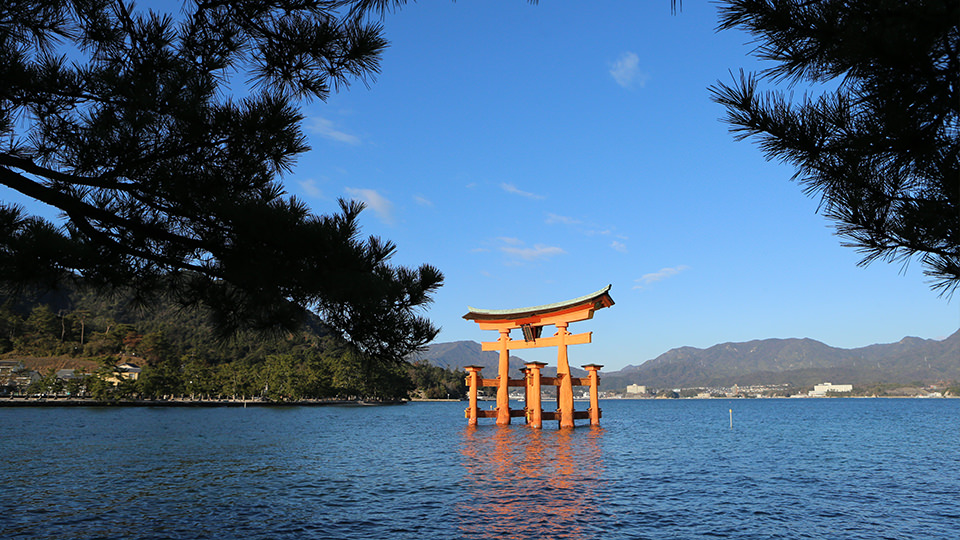 嚴島神社大鳥居