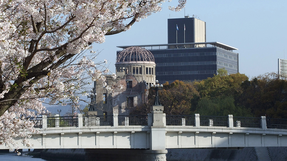 桜と原爆ドーム