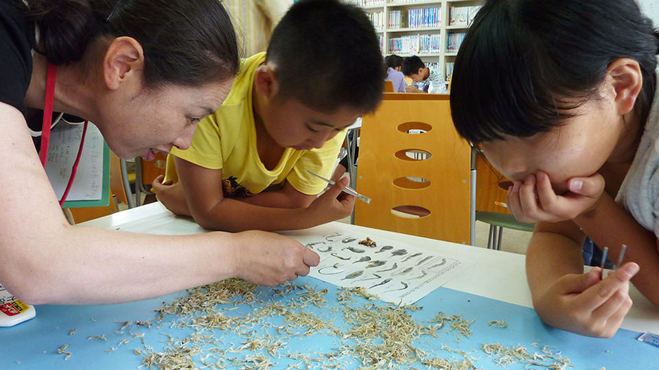 親子で学び味わう魚魚(とと)by広島「チリメン編」 イメージ