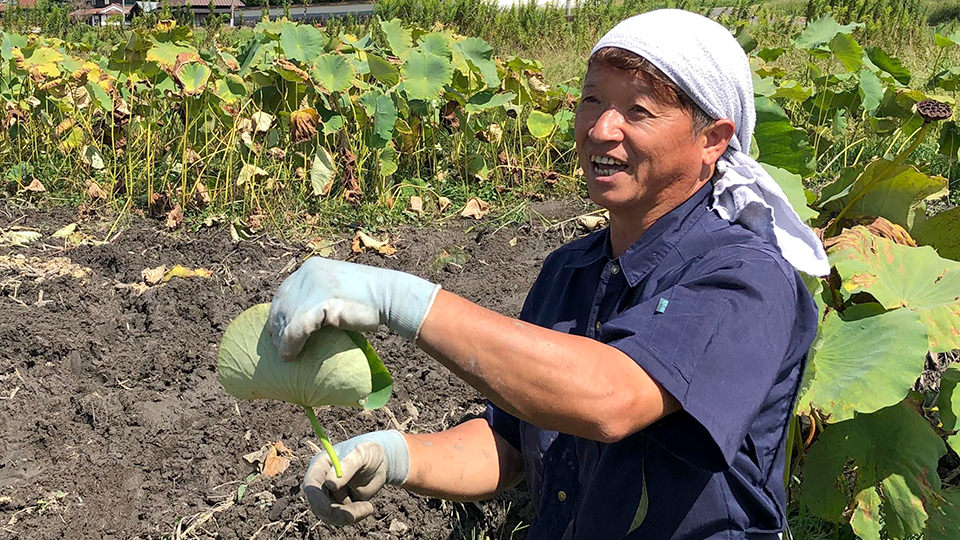 ほたるの里レンコンの生産者 大谷浩志さん