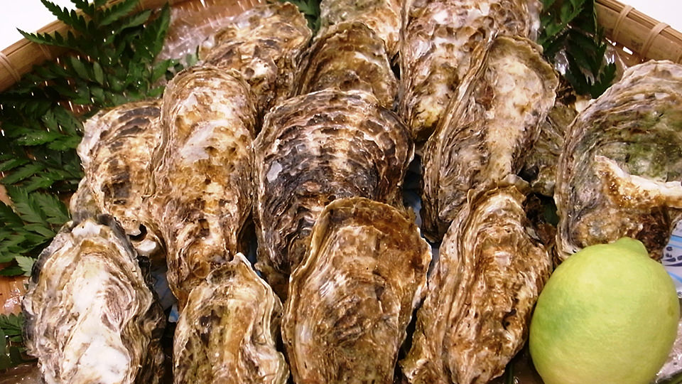 殻付き牡蠣