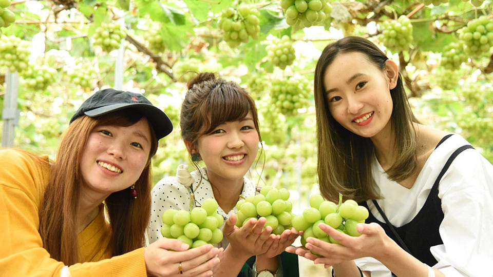 マスカットを持つ女性3人