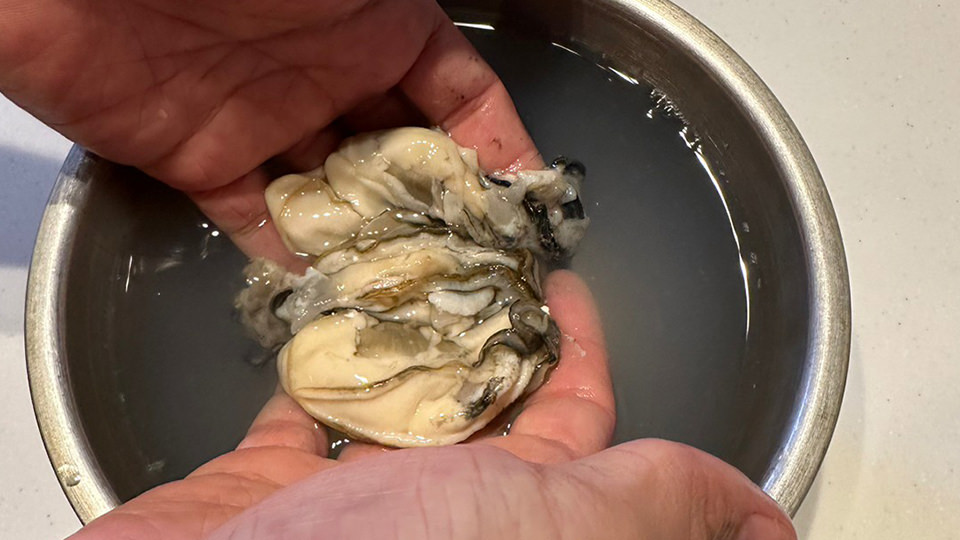 牡蠣を洗う