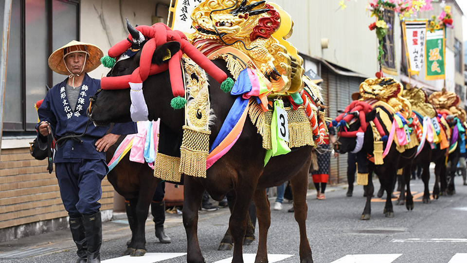 牛の道行