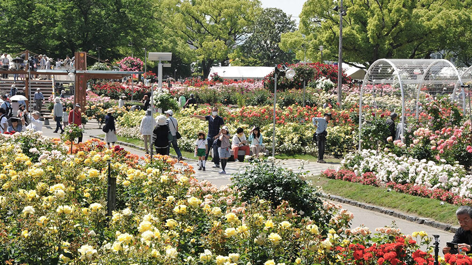 ばら公園