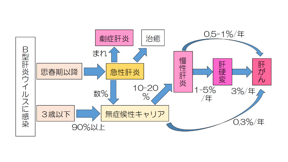 B型肝炎感染後に起こりやすい病気