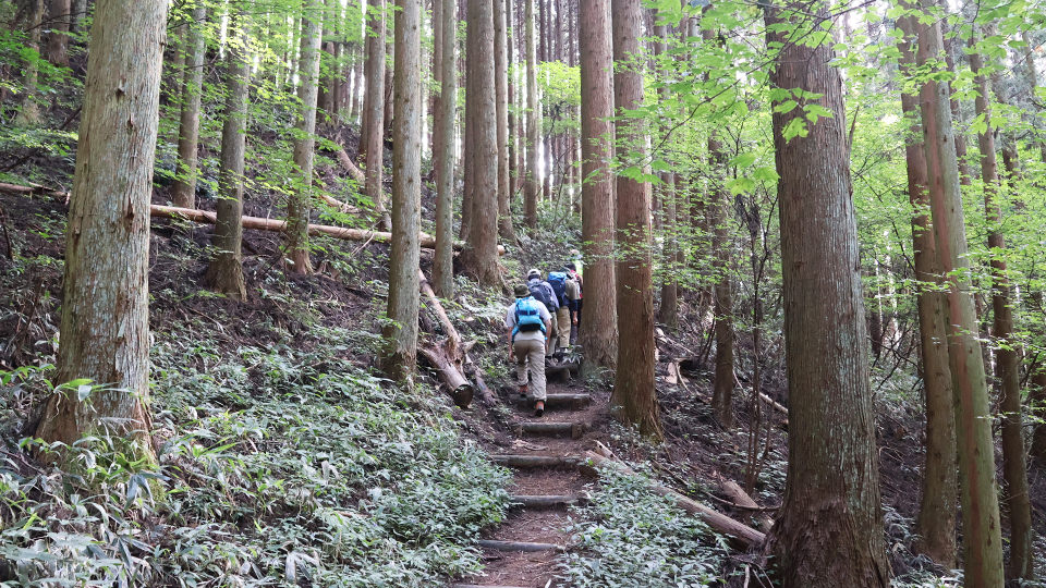 登山道