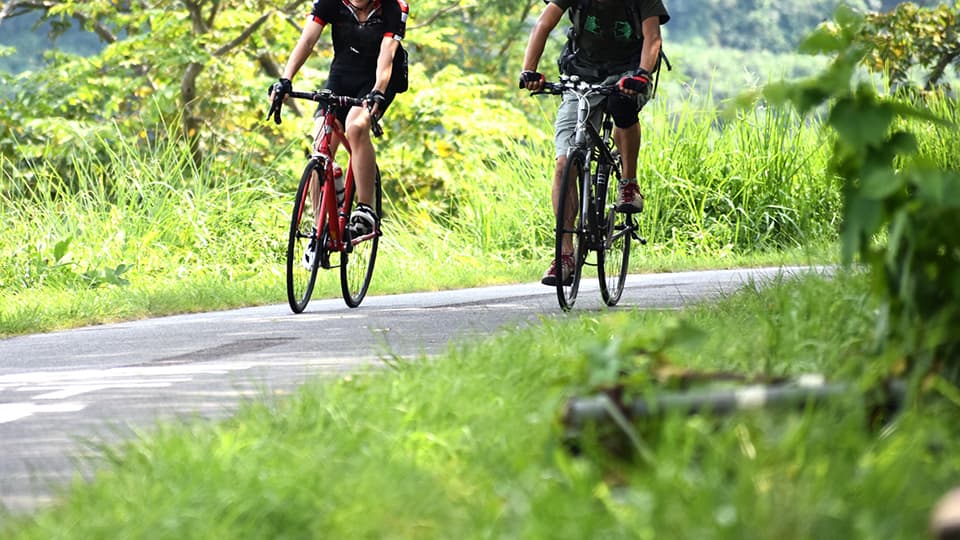 新緑の中でサイクリング