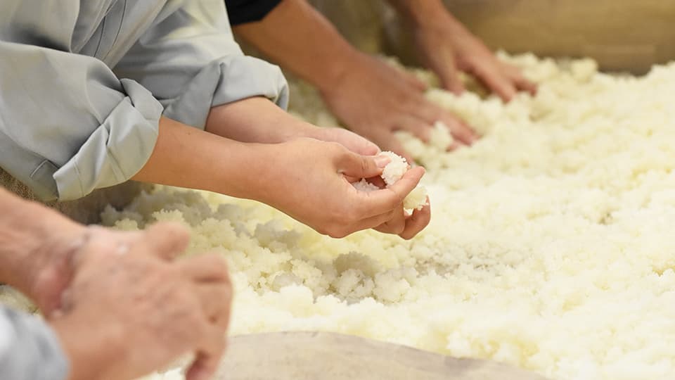 もろみの製造工程