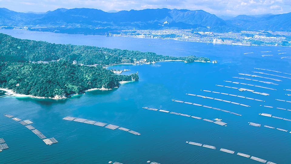 瀬戸内海の牡蠣いかだ