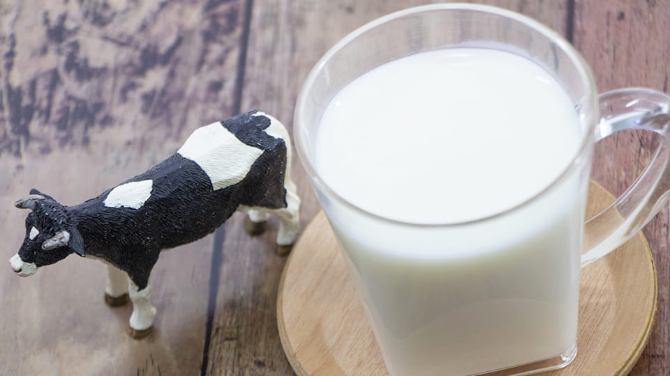 飲むヨーグルト