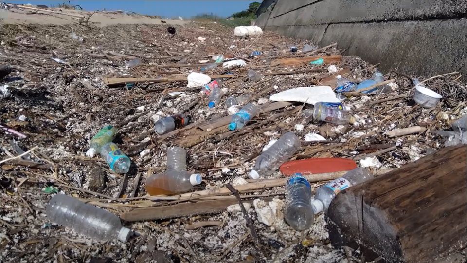 流れ着いた海洋ごみ