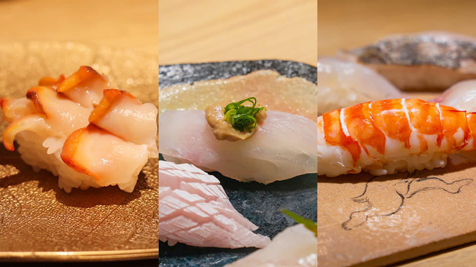 夜泣き貝とカワハギ、足赤海老