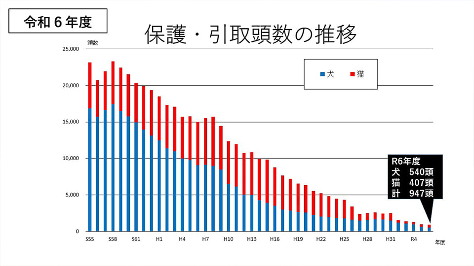保護･引取頭数の推移グラフ
