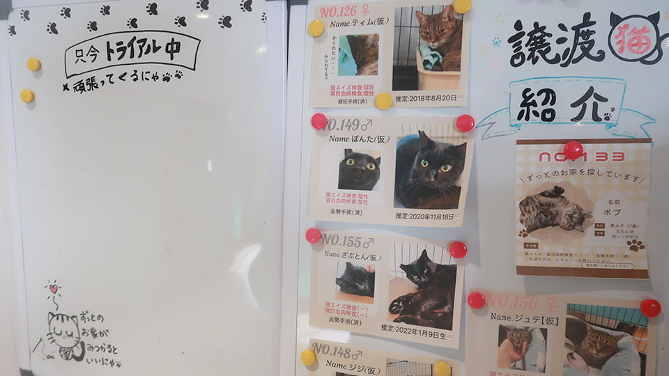 譲渡情報の掲示物