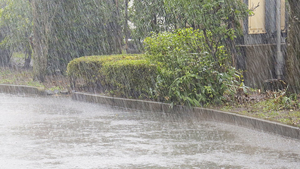 大雨が降る様子