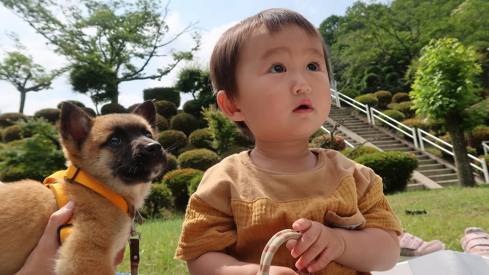 子供と愛犬