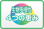 生物多様性 - 4つの恵み