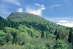 廿日市市吉和冠山の写真