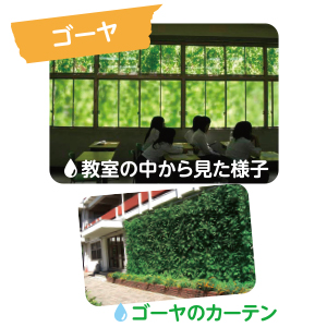 緑のカーテン - 鈴峯女子高等学校の写真１