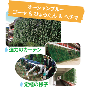 緑のカーテン - 鈴峯女子高等学校の写真２